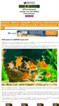 Mobile Screenshot of goldfish-care.com